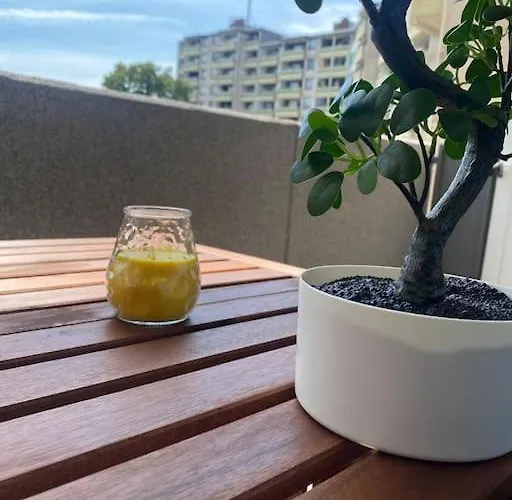 Apartamento 3,5 Zentrale Lage